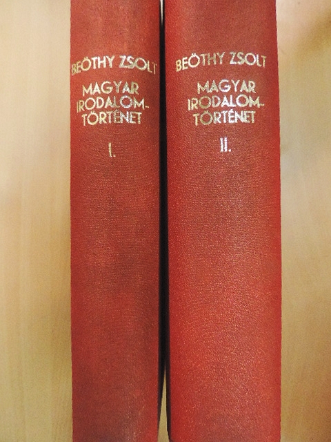 Angyal Dávid - A magyar irodalom története I-II. [antikvár]
