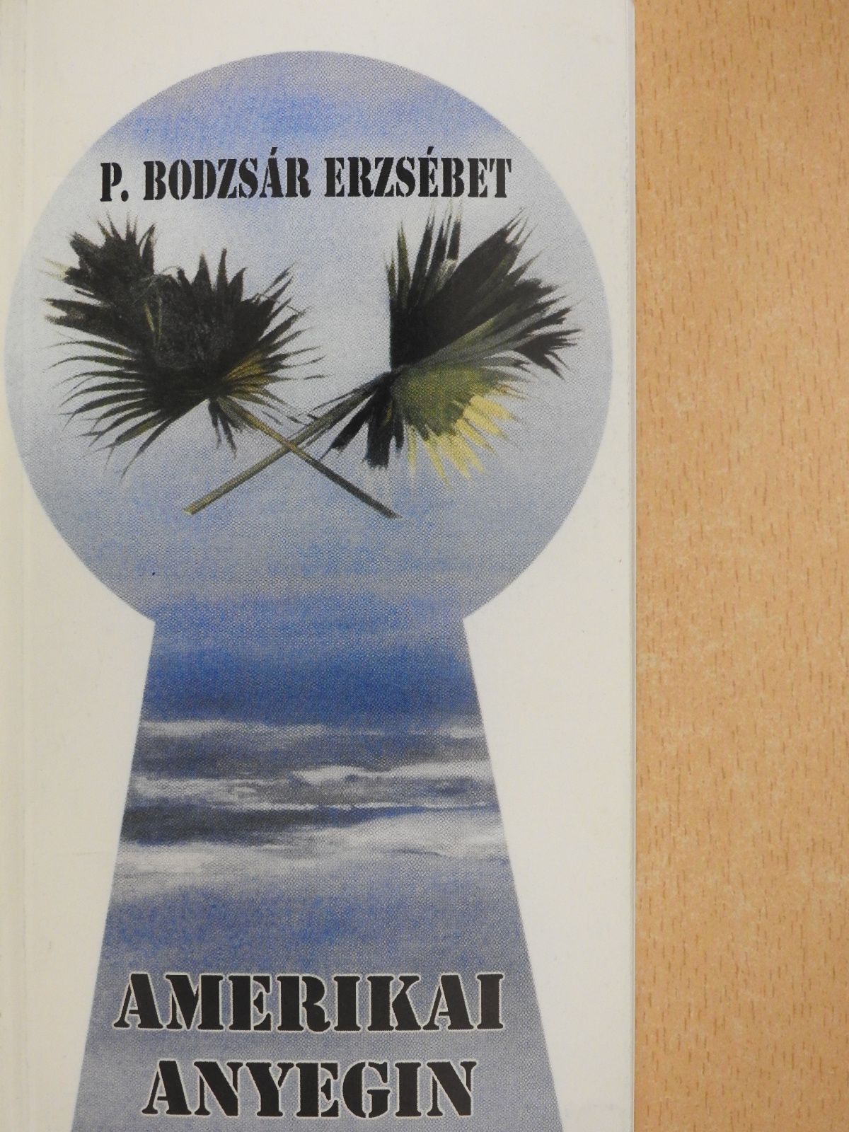 P. Bodzsár Erzsébet - Amerikai Anyegin (dedikált példány) [antikvár]