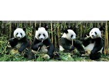 MC944 - Deep Pandas