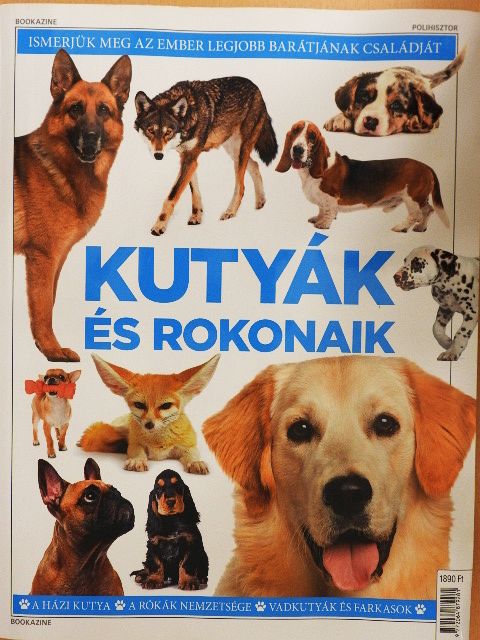 Kutyák és rokonaik [antikvár]