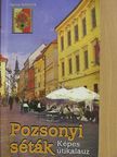 Danica Janiaková - Pozsonyi séták [antikvár]