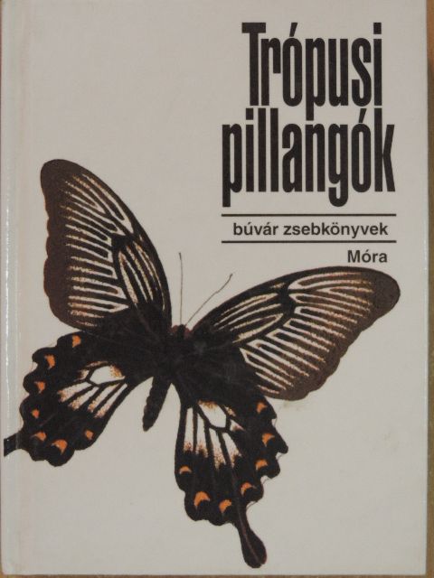 Mészáros Zoltán - Trópusi pillangók [antikvár]