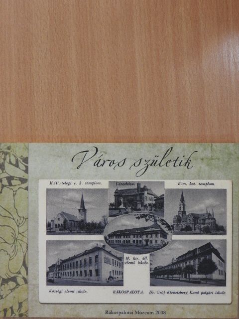 Mojzes Ildikó - Város születik [antikvár]