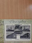 Mojzes Ildikó - Város születik [antikvár]