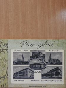 Mojzes Ildikó - Város születik [antikvár]