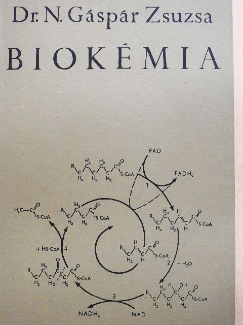 Dr. N. Gáspár Zsuzsa - Biokémia [antikvár]
