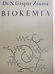 Dr. N. Gáspár Zsuzsa - Biokémia [antikvár]