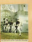 Wolfgang Reuter - Von Lipizzanern und der Spanischen Reitschule [antikvár]