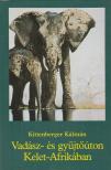 KITTENBERGER KÁLMÁN - Vadász- és gyűjtőúton Kelet-Afrikában [antikvár]