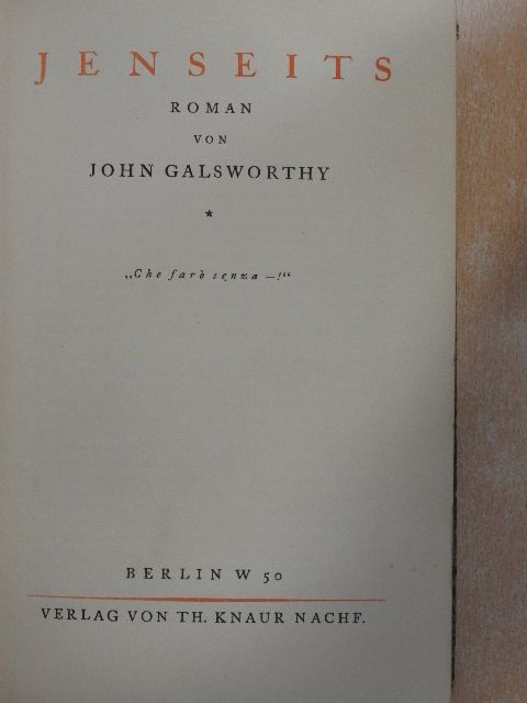 John Galsworthy - Jenseits [antikvár]