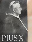 H. Dal-Gal - Der heilige Papst Pius X. [antikvár]