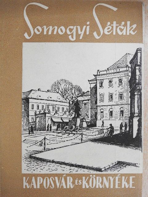 Borsi Darázs József - Kaposvár és környéke [antikvár]