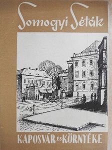 Borsi Darázs József - Kaposvár és környéke [antikvár]