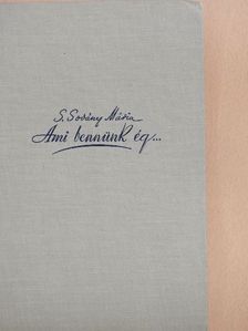 S. Sovány Mária - Ami bennünk ég... [antikvár]