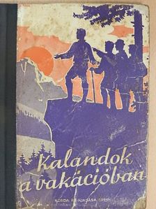 P. Pál - Kalandok a vakációban [antikvár]