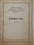Dr. Ferencz László - Számvitel [antikvár]