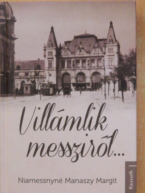Niamessnyné Manaszy Margit - Villámlik messziről... [antikvár]