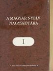 Csengery Kinga - A magyar nyelv nagyszótára I. [antikvár]