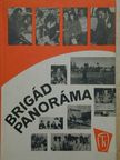 Benedek István Gábor - Brigádpanoráma [antikvár]