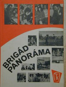 Benedek István Gábor - Brigádpanoráma [antikvár]