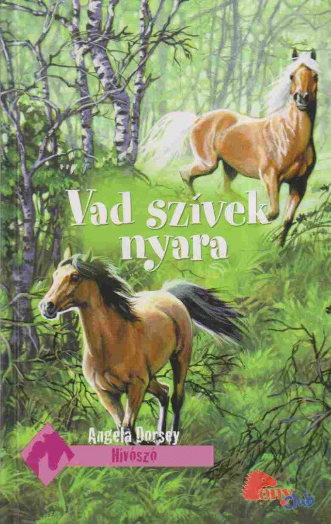 ANGELA DORSEY - Vad szívek nyara [antikvár]