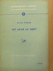 Betlen Oszkár - Mit akar az MDP? [antikvár]