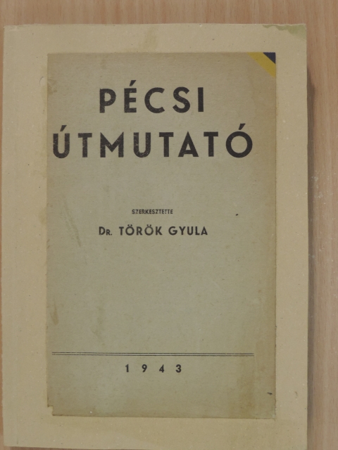 Dr. Szabó Pál Zoltán - Pécsi útmutató [antikvár]