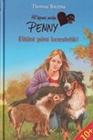 Eltűnt póni kerestetik [antikvár]