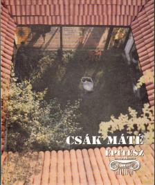 CSÁK FERENC - Csák Máté építész [antikvár]