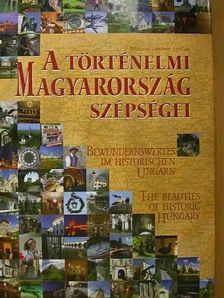 Pintér Zoltán - A történelmi Magyarország szépségei [antikvár]