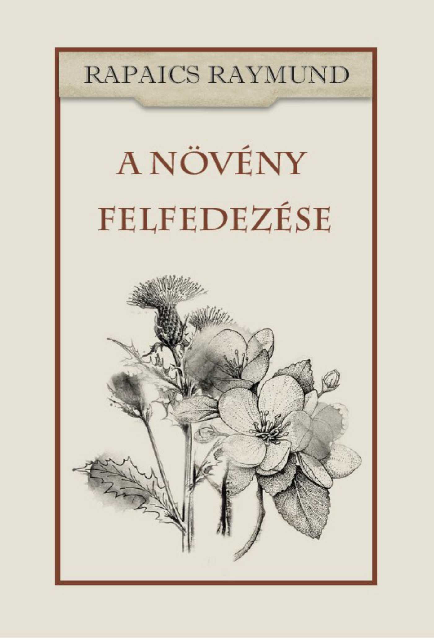 RAPAICS RAYMUND - A növény felfedezése