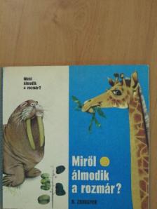 B. Zahogyer - Miről álmodik a rozmár? [antikvár]