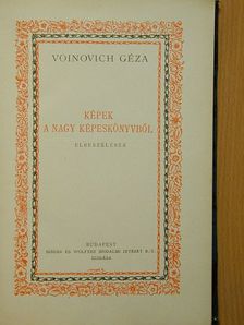 Voinovich Géza - Képek a nagy képeskönyvből [antikvár]