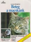 Weingartner, Vera - Beteg a macskánk [antikvár]