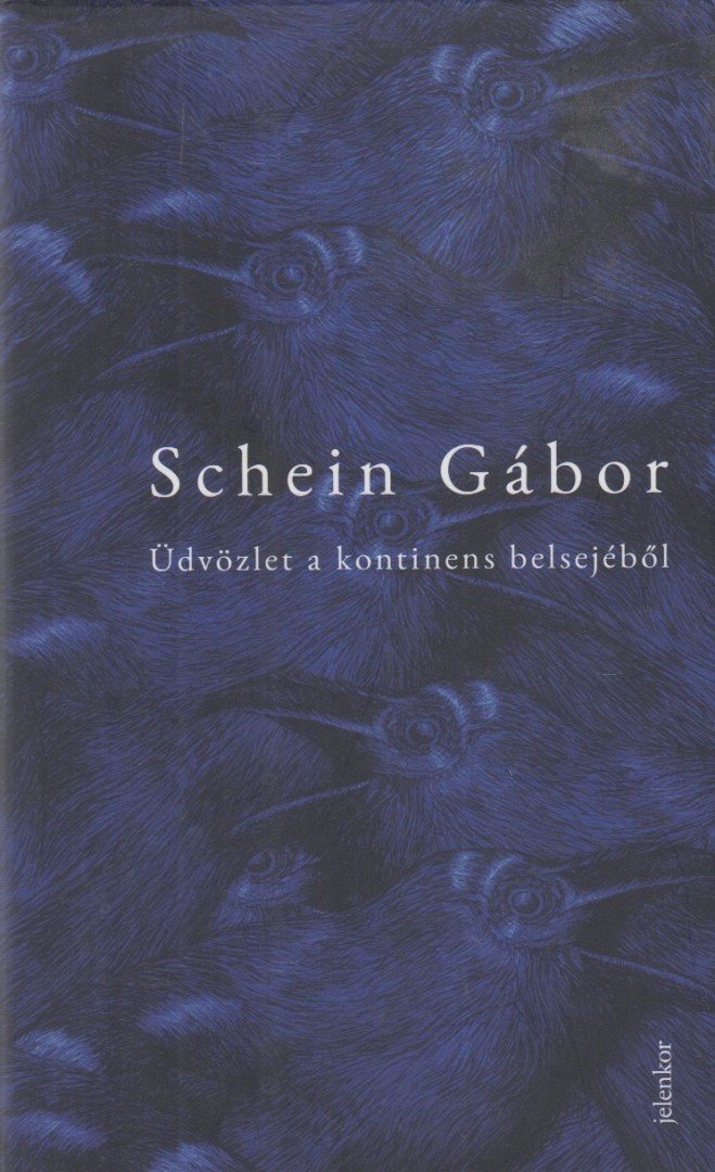 Schein Gábor - Üdvözlet a kontinens belsejéből [antikvár]