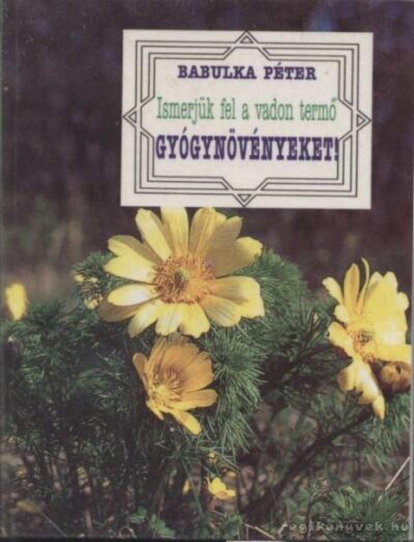 Babulka Péter - Ismerjük fel a vadon termő gyógynövényeket! [antikvár]